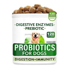 Dog Probiotic Chews Manufacturer - with Pumpkin Enzymes for Sensitive Digestive
