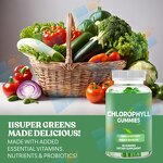 Chlorophyll Gummies - Manufacturer OEM/ODM/OBM Vegan Energy Booster Detoxify