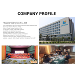 Qasil Leaf Powder - Manufacturer Factory Supply Pure Skin Care Beauty Secret