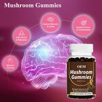 Mushroom Gummies - Manufacturer OEM/ODM/OBM Vegan Cordyceps Reishi Lions Mane