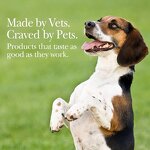 Pet Joint Chews - Manufacturer OEM/ODM/OBM Glucosamine Chondroitin MSM Arthritis