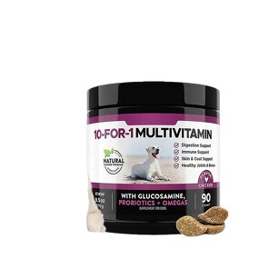 Dog Multivitamin Chews - Manufacturer OEM/ODM/OBM 10 in 1 Glucosamine Probiotics