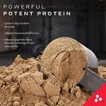 Whey Protein Powder - Manufacturer China Proveedor Isolate Muscletech Tozu