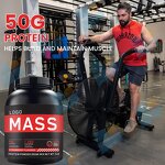 Weight Gainer Powder - Manufacturer Wholesale OEM Muscle Building Fitness Gym