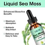 Sea Moss Drops - Manufacturer OEM/ODM/OBM Organic Weight Loss Detox Booster