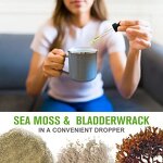 Sea Moss Drops - Manufacturer OEM/ODM/OBM Irish Moss Bladderwrack Immune