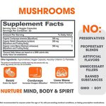 Lion's Mane Capsules - Manufacturer OEM/ODM/OBM 500mg Hericium Erinaceus