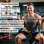 Creatine Lollipop - Manufacturer Premium Sugar Free Muscle Building Free Sample