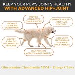 Pet Joint Chews - Manufacturer OEM/ODM/OBM Glucosamine Chondroitin MSM Arthritis