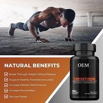 Turkesterone Capsules - Manufacturer OEM 2% 10% 98% Ajuga Turkestanica Uzbekistan