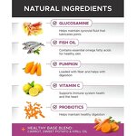 Dog Multivitamin Chews - Manufacturer OEM/ODM/OBM 10 in 1 Glucosamine Probiotics