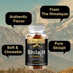 Shilajit Gummies - Manufacturer OEM ODM Himalayan Sugar Free Vegan Organic
