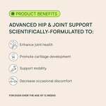 Dog Joint Chews - Manufacturer Glucosamine Hyaluronic Acid Mobility 180G