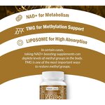 NAD+ Softgels - Manufacturer Anti-Aging Vitamins Minerals Cellular Energy Longevity