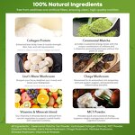 Collagen Matcha Powder - Manufacturer Herbal Antioxidant Skin Elasticity Hydration