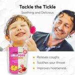 Manuka Honey Lollipop - Manufacturer OEM Propolis Strawberry 24Pc Throat Antioxidant