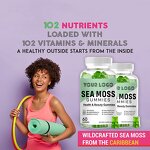 Sea Moss Gummies - Manufacturer OEM Private Label Bladderwrack Burdock Thyroid