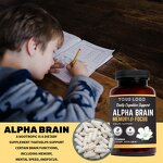 Nootropic Capsules - Manufacturer Alpha GPC L Theanine Bacopa Focus Memory
