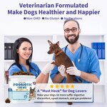 Dog Probiotics - Manufacturer Hot Selling Intestinal Digestive Enzymes Prebiotics