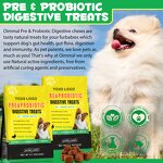 Dog Probiotic Chews - Manufacturer Prebiotics Digestive Snacks Gut Immune Health