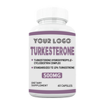 Turkesterone Capsules - Manufacturer Hot Sale 500mg Ajuga Muscle Builder