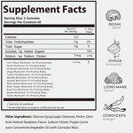Mushroom Gummies - Manufacturer OEM/ODM Sugar Free Ashwagandha Reishi Immunity