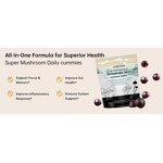 Mushroom Gummies - Manufacturer OEM/ODM Sugar Free Ashwagandha Reishi Immunity