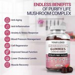 Mushroom Nootropic Gummies - Manufacturer OEM/ODM Vegan Lions Mane Reishi Brain