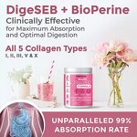 Collagen Peptides - Manufacturer Custom 5Types DigeSEB BioPerine Max Absorption