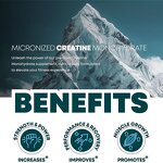 Creatine Powder - Manufacturer Wholesale Custom Formula Flavor Private Label OEM