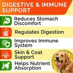 Dog Probiotic Tablets - Manufacturer Hot Selling Digestion Immunity Skin Hair Health