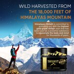 Shilajit Resin - Manufacturer Organic Himalayan Energy Immune Digestion Fatigue