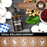 Lion's Mane Drops - Manufacturer OEM Nootropics Brain Focus Clarity Health