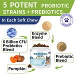 Dog Probiotics - Manufacturer Hot Selling Intestinal Digestive Enzymes Prebiotics