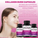 Marine Collagen Capsules - Manufacturer Custom Joint Pain Relief Bone Anti-aging