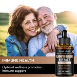 Lion's Mane Drops - Manufacturer OEM Nootropics Brain Focus Clarity Health