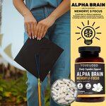 Nootropic Capsules - Manufacturer Alpha GPC L Theanine Bacopa Focus Memory