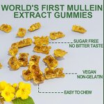 Mullein Gummies - Manufacturer Herbal Immune System Respiratory Health Breathing
