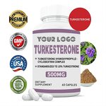 Turkesterone Capsules - Manufacturer Hot Sale 500mg Ajuga Muscle Builder