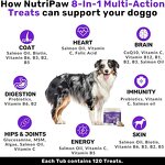 Dog Multivitamin Tablets - Manufacturer OEM/ODM Private Label Daily Joint Wellness