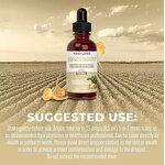 Maca Root Drops - Manufacturer Organic Sports Mood Natural Energy Wholesale