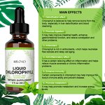 Chlorophyll Drops Manufacturer - OEM Private Label Oral Liquid for Sleep