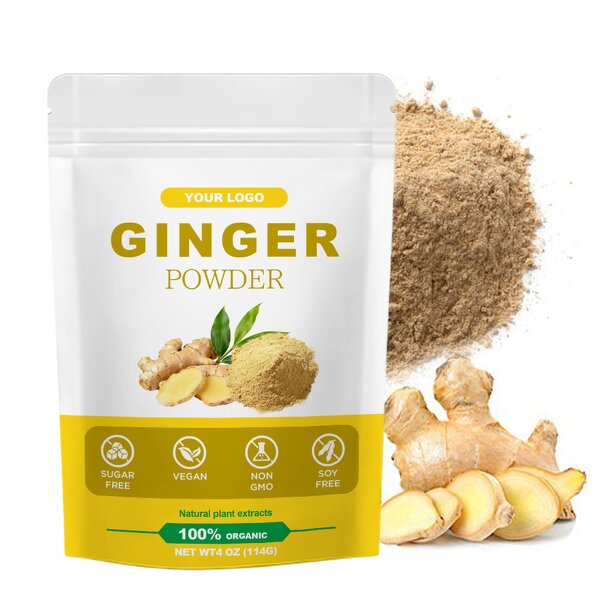 Ginger Root Powder Manufacturer - Premium Organic with Aloe Vera Extract
