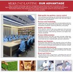 Orgasm Capsules Manufacturer - New Arrived Female Yoni Pleasure Enhancing