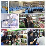 Slimming Cream Manufacturer - 14 Days Fat Burner with Ginger for Flat Belly