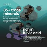 Creatine Gummies - Manufacturer Wholesale Sugar-Free Collagen BCAA Vegan Muscle