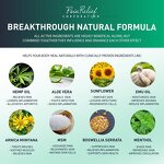 Hemp Cream - Manufacturer Turmeric MSM 1000MG Anti-Inflammatory Joint Muscle