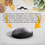 Shilajit Tablets - Manufacturer OEM/ODM 200mg Plant-Derived Fulvic 85+Trace