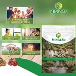Mushroom Powder - Manufacturer OEM/ODM 10-in-1 Beta-Glucans>35% Immune Cognitive