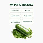 Moringa Capsules - Manufacturer Organic Leaf 92+Nutrients 46Antioxidants Immunity